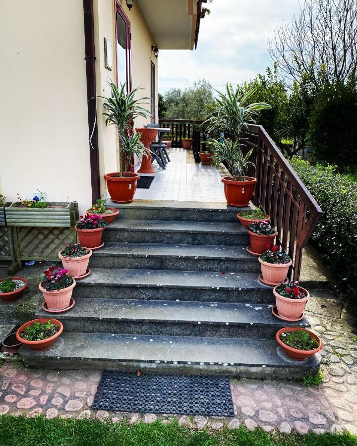 B&B Villa Dei Fiori Санта-Эуфемия-Ламеция Экстерьер фото