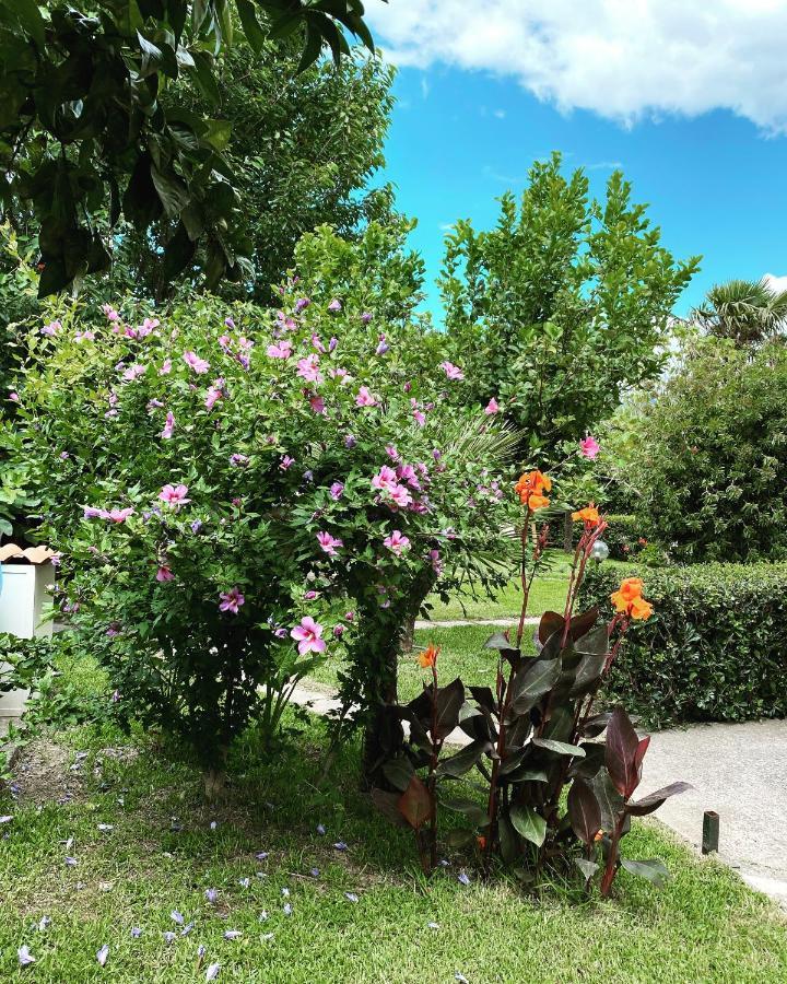 B&B Villa Dei Fiori Санта-Эуфемия-Ламеция Экстерьер фото