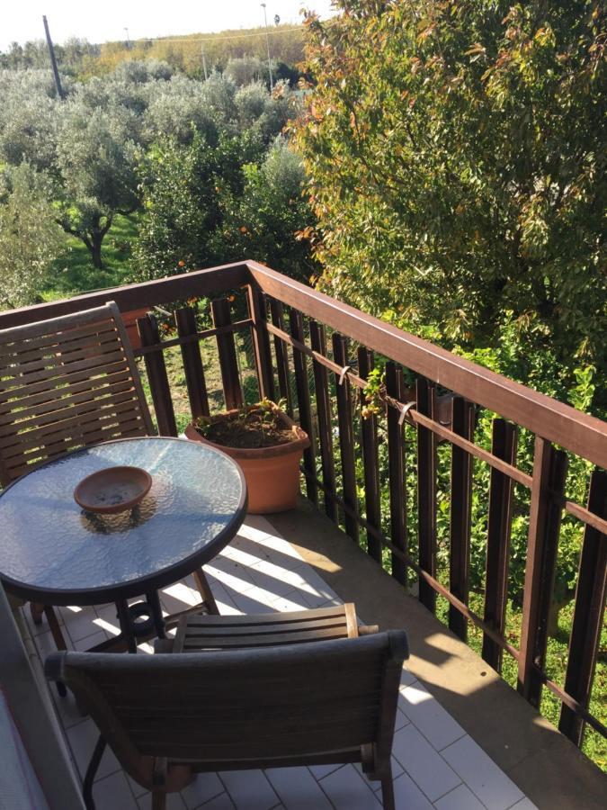 B&B Villa Dei Fiori Санта-Эуфемия-Ламеция Экстерьер фото